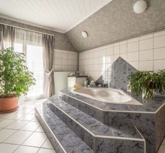 Plantes pour décoration d'une salle de bains