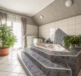 Plantes pour décoration d'une salle de bains